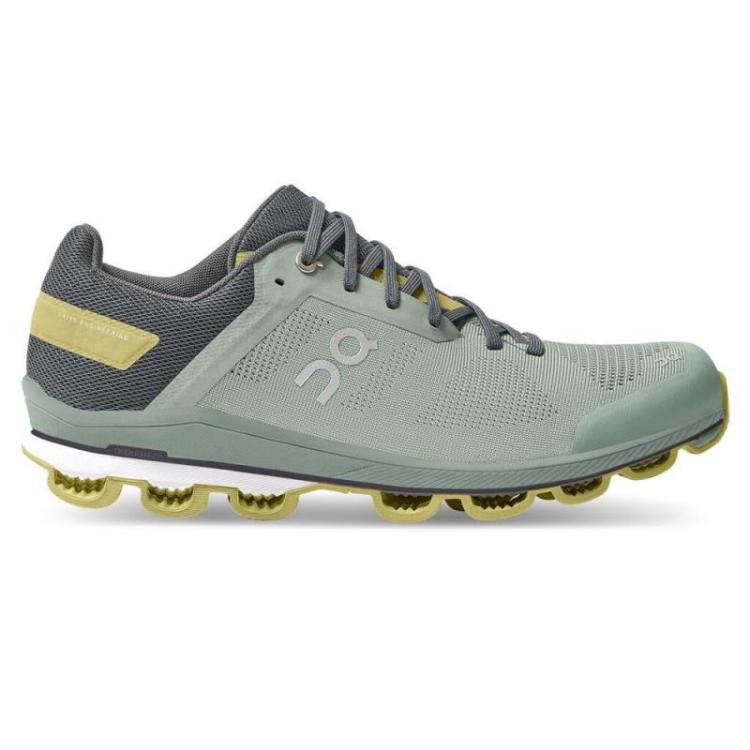 surfer 3.0 Eucalyptus Citron