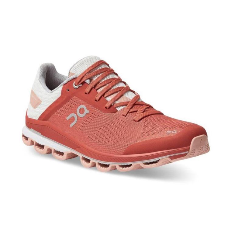 surfer 3.0 Rust Rose