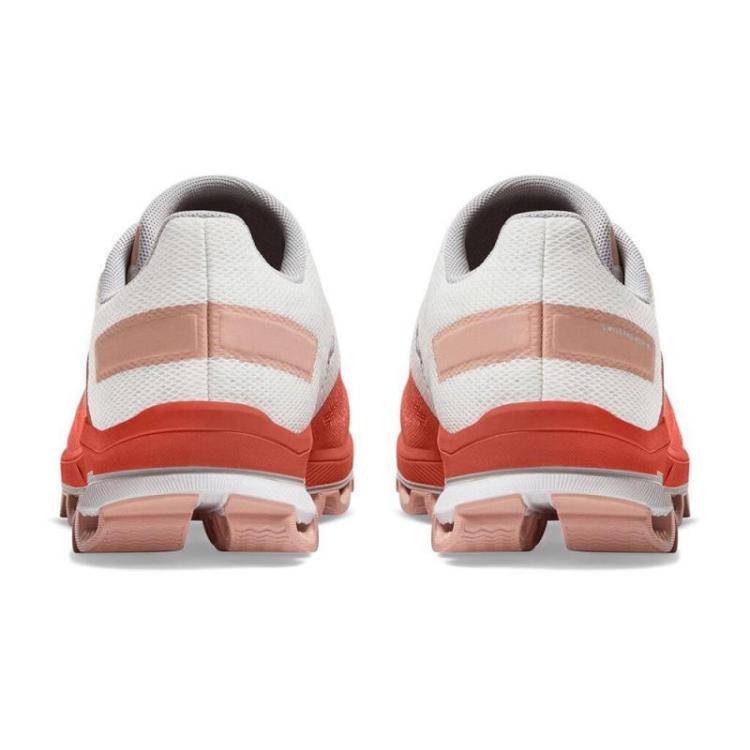 surfer 3.0 Rust Rose